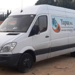 הובלת ציורים